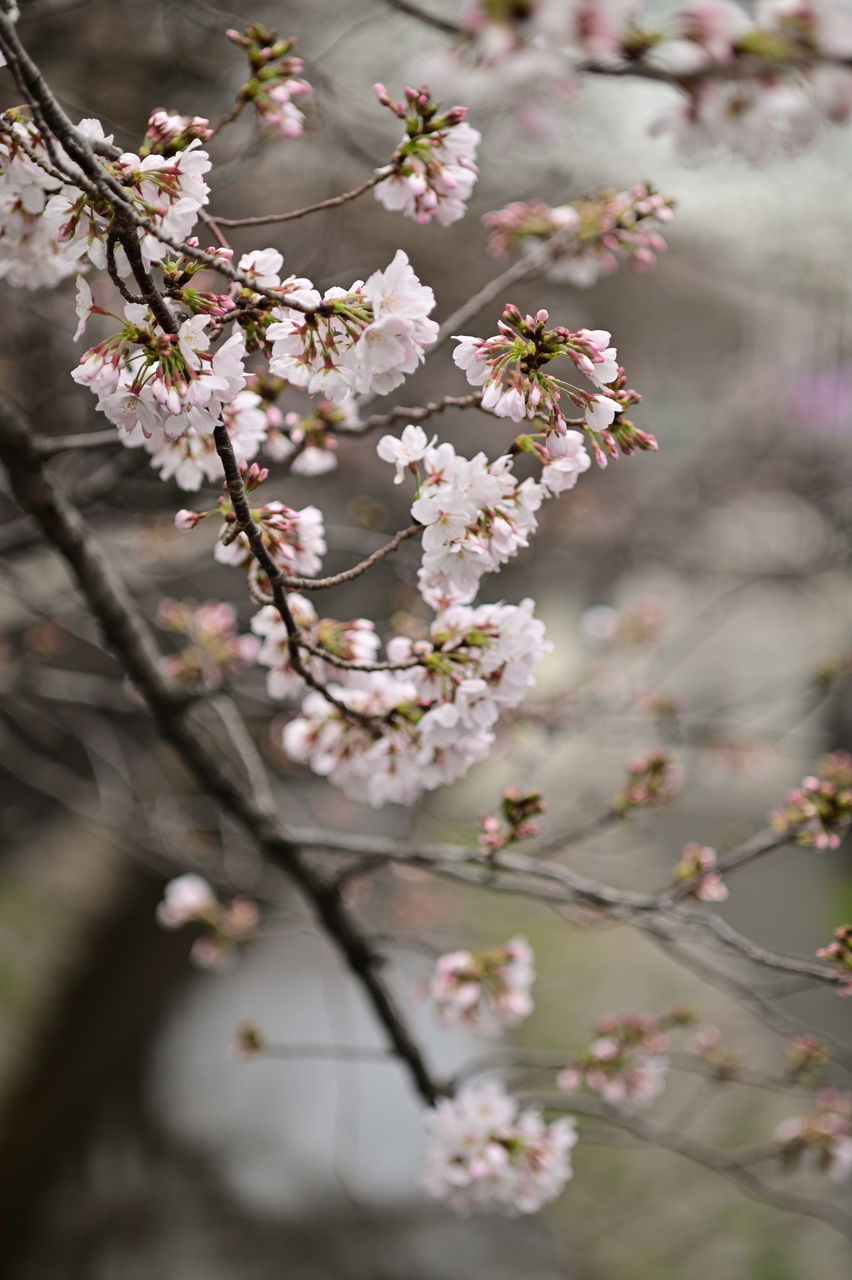 f:id:HIDE_Verdad:20190323222430j:plain