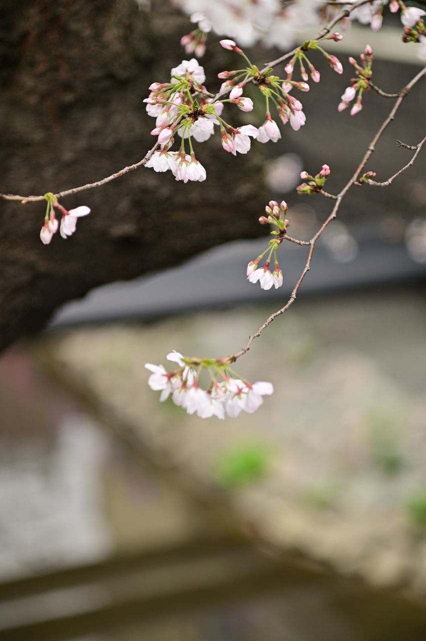 f:id:HIDE_Verdad:20190323222440j:plain