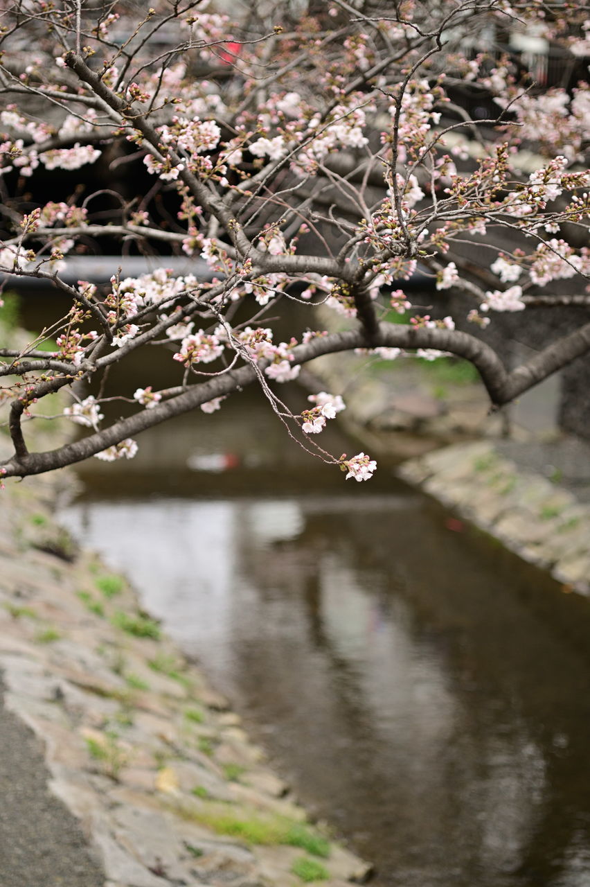f:id:HIDE_Verdad:20190323222449j:plain