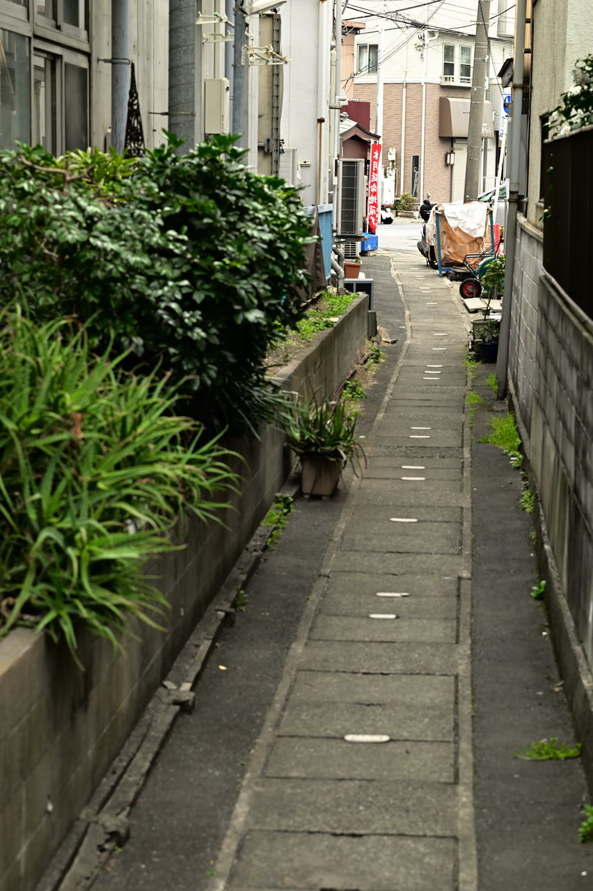 f:id:HIDE_Verdad:20190323222511j:plain