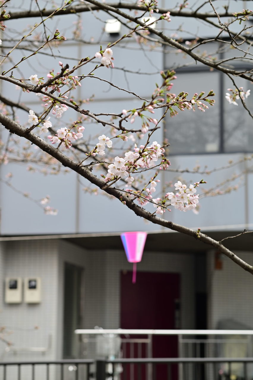 f:id:HIDE_Verdad:20190323222533j:plain