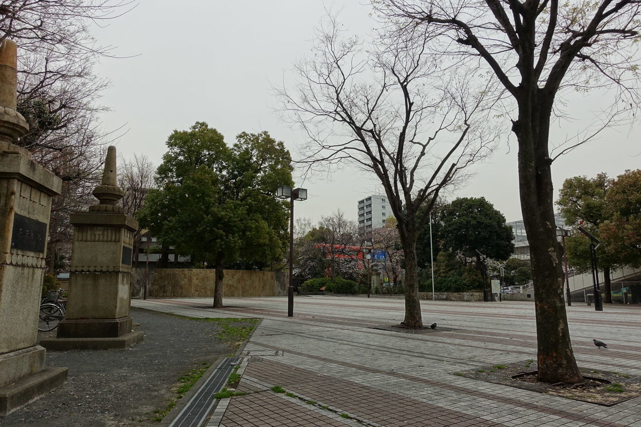 f:id:HIDE_Verdad:20190326231642j:plain