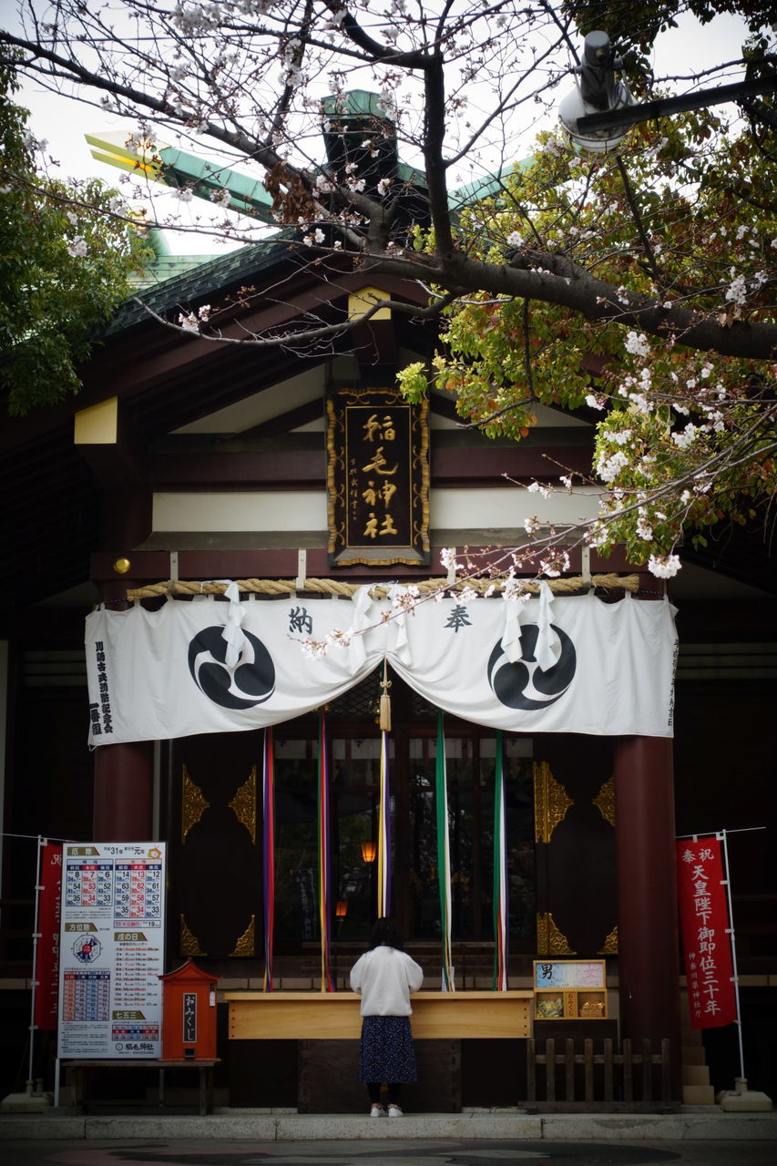 f:id:HIDE_Verdad:20190326231650j:plain