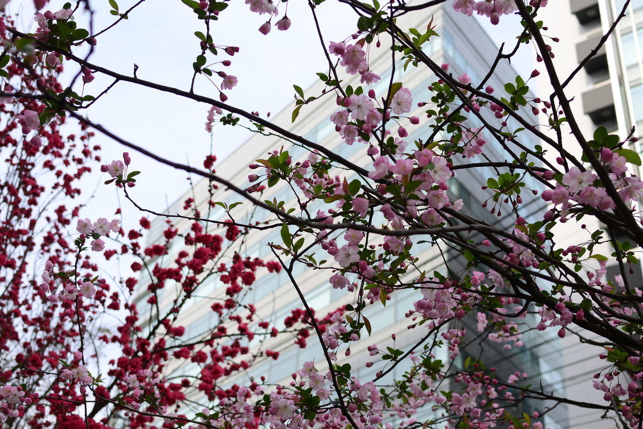 f:id:HIDE_Verdad:20190328230755j:plain