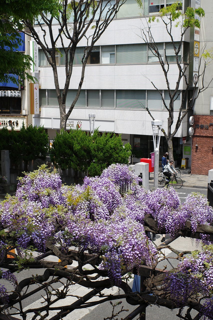 f:id:HIDE_Verdad:20190421225335j:plain f:id:HIDE_Verdad:20190421225335j:plain