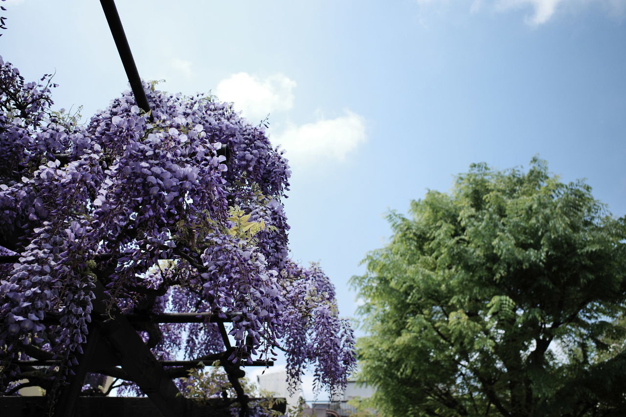 f:id:HIDE_Verdad:20190421225416j:plain f:id:HIDE_Verdad:20190421225416j:plain