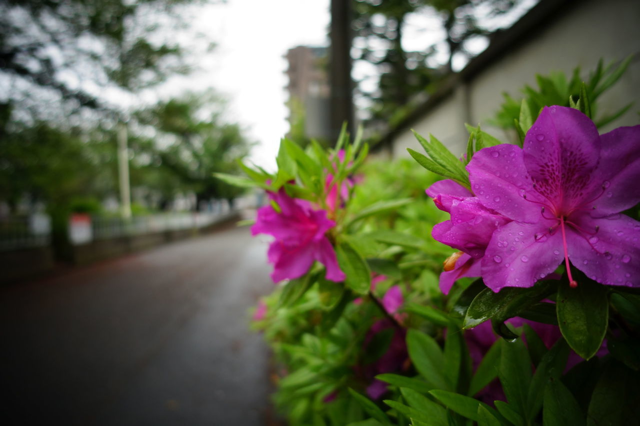 f:id:HIDE_Verdad:20190425224115j:plain
