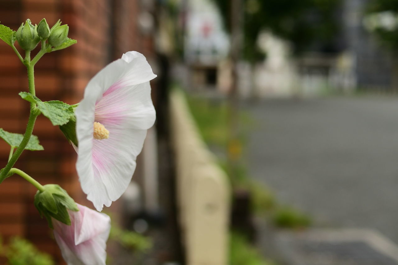 f:id:HIDE_Verdad:20190708225046j:plain