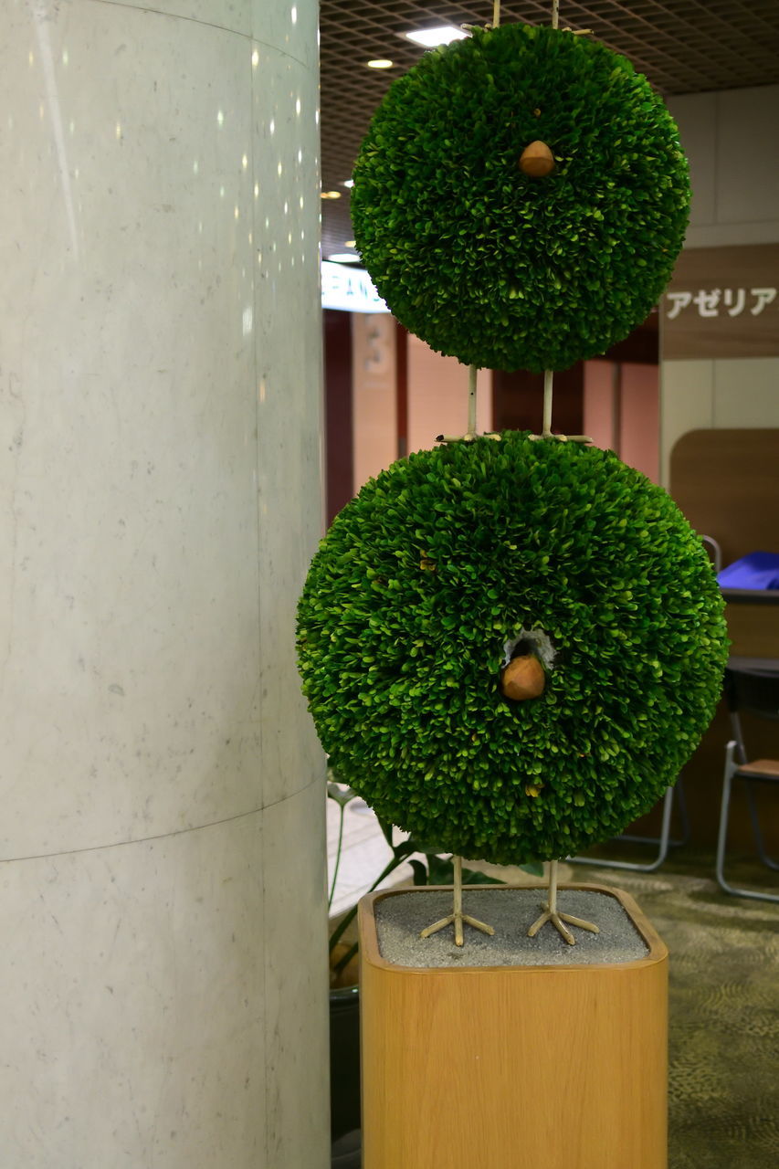 f:id:HIDE_Verdad:20190913213924j:plain