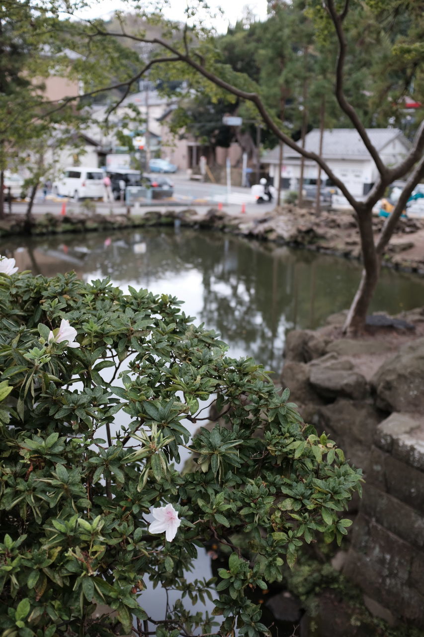 f:id:HIDE_Verdad:20191006231130j:plain