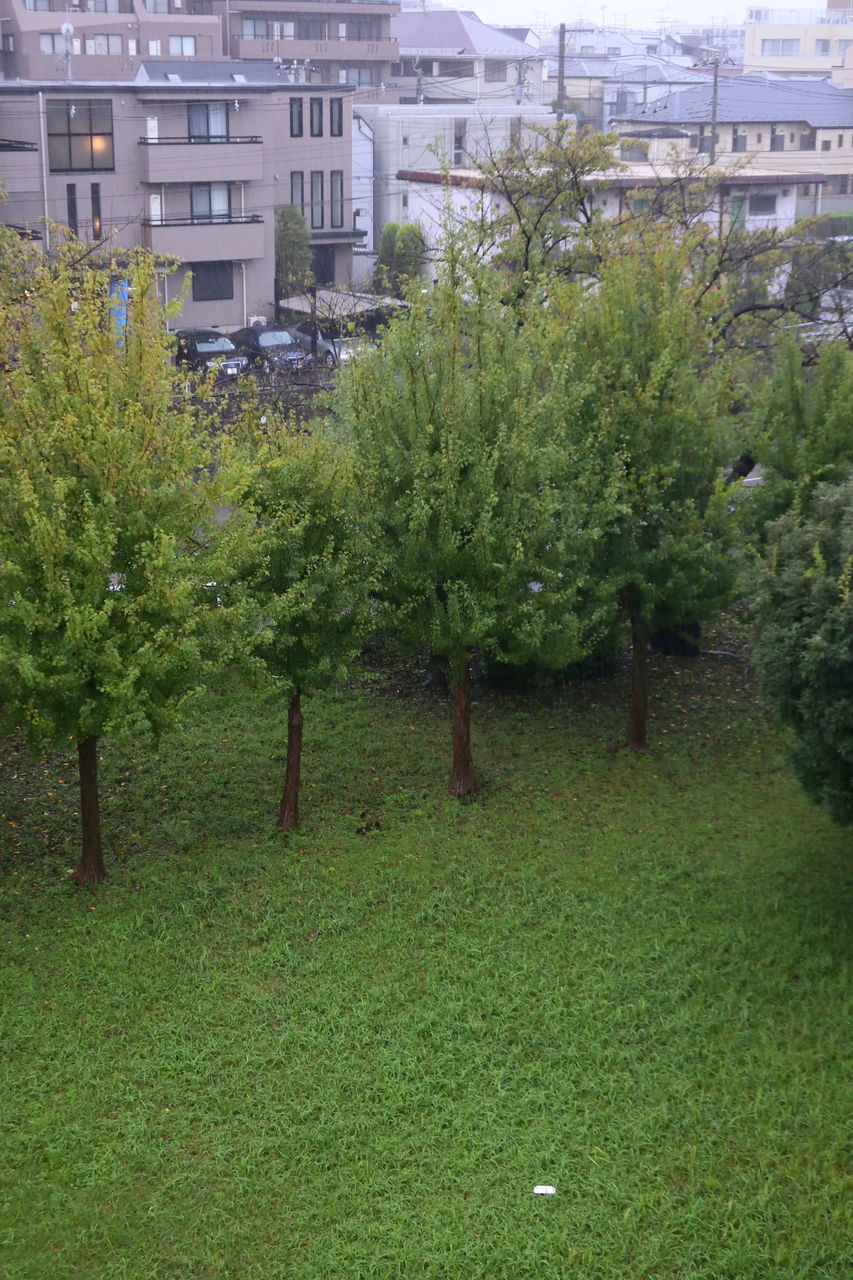 f:id:HIDE_Verdad:20191012213325j:plain