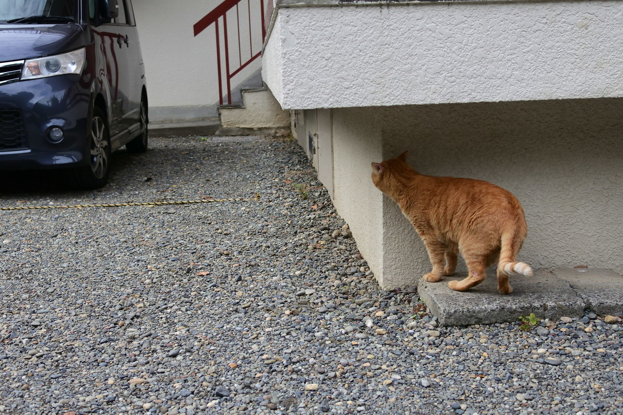 f:id:HIDE_Verdad:20191020230626j:plain