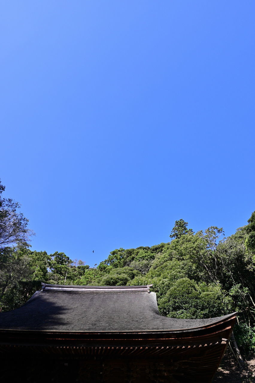 f:id:HIDE_Verdad:20191104232051j:plain