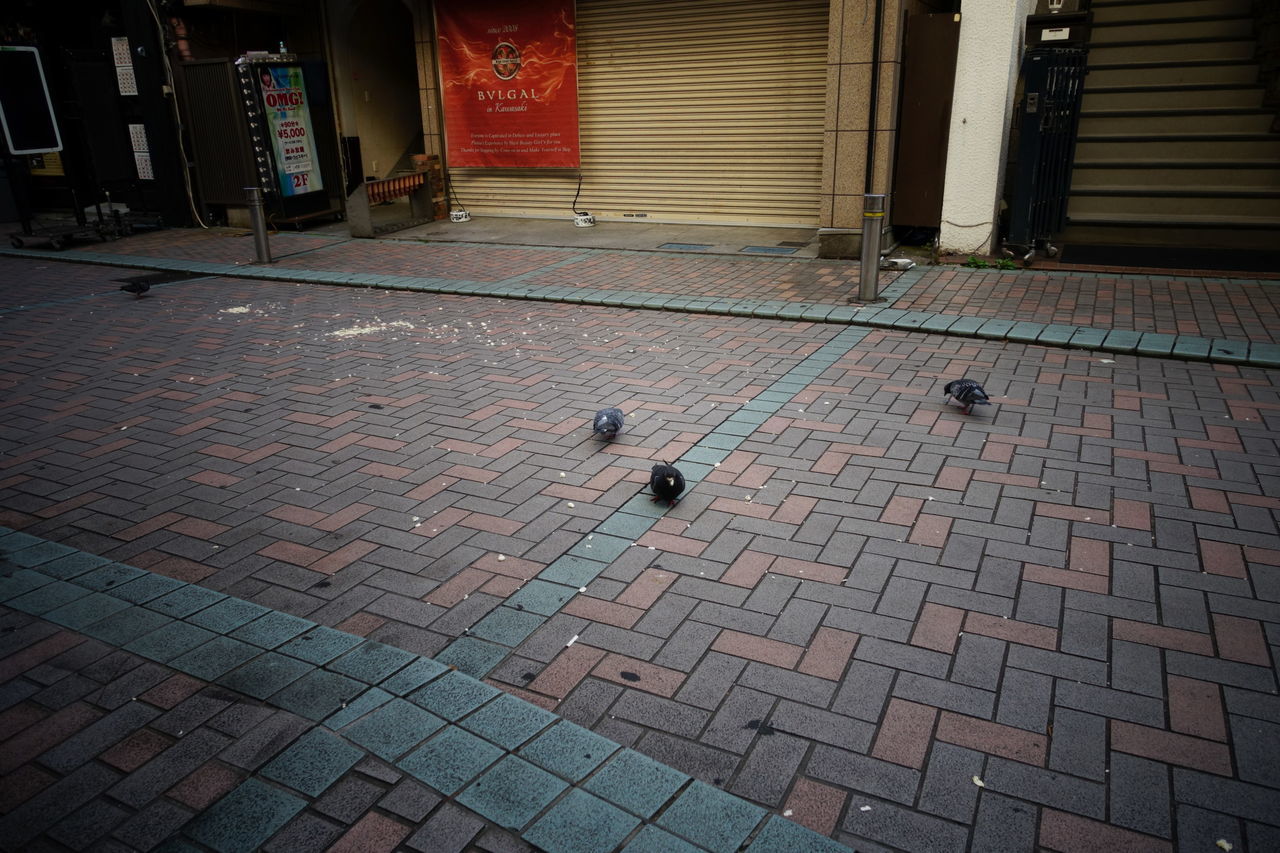 f:id:HIDE_Verdad:20191112225903j:plain