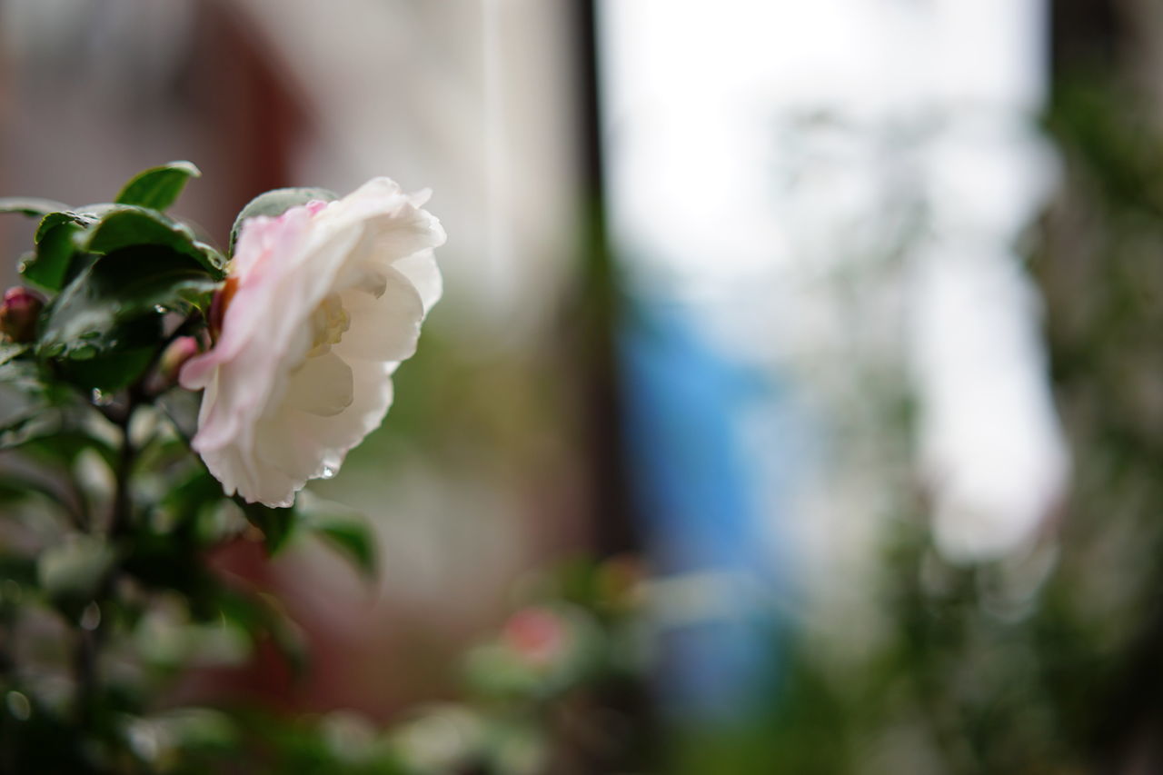 f:id:HIDE_Verdad:20191124221408j:plain