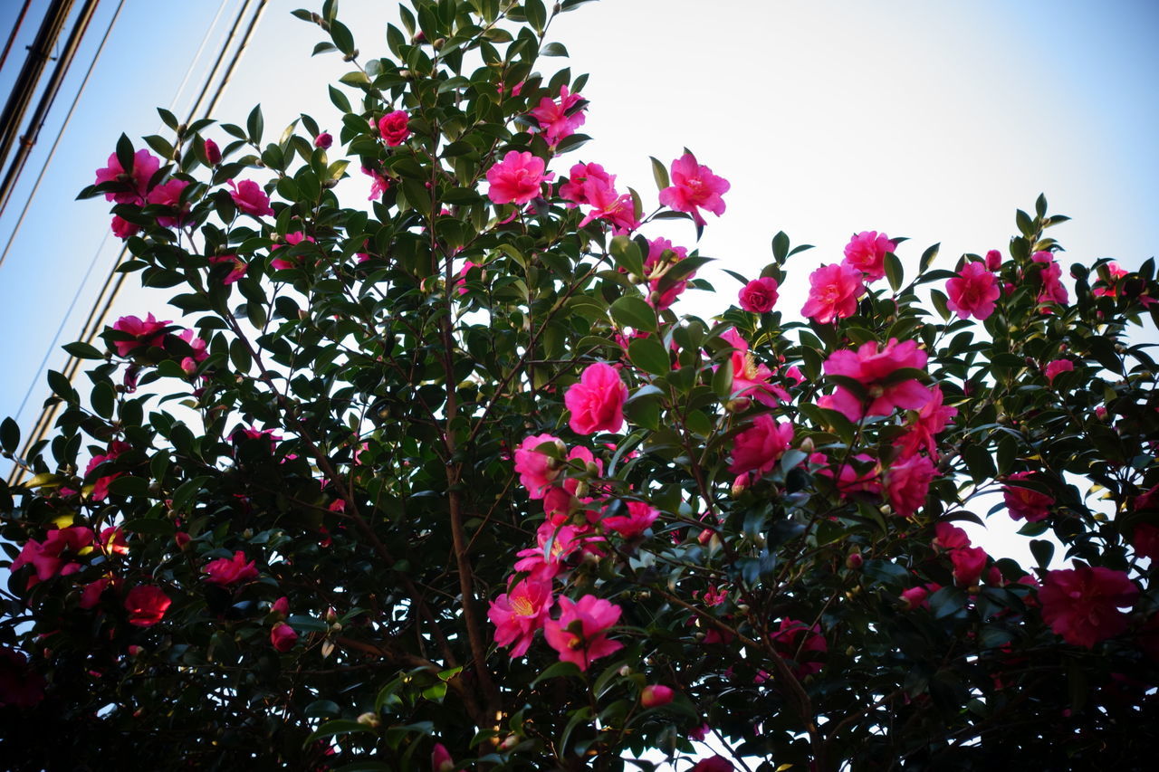 f:id:HIDE_Verdad:20191204230553j:plain