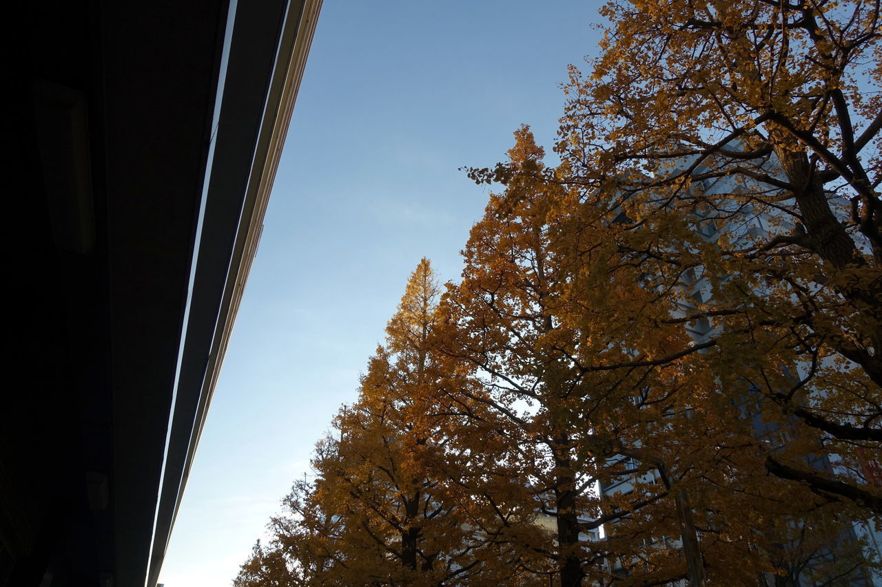 f:id:HIDE_Verdad:20191205222142j:plain