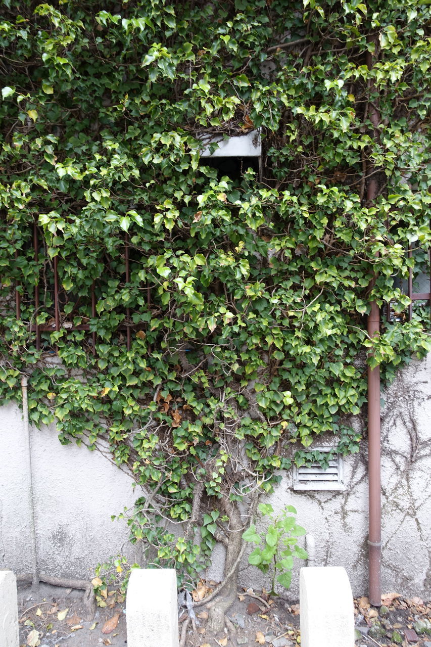 f:id:HIDE_Verdad:20191206221010j:plain