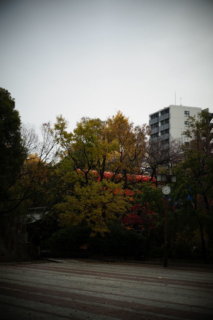 f:id:HIDE_Verdad:20191210223208j:plain