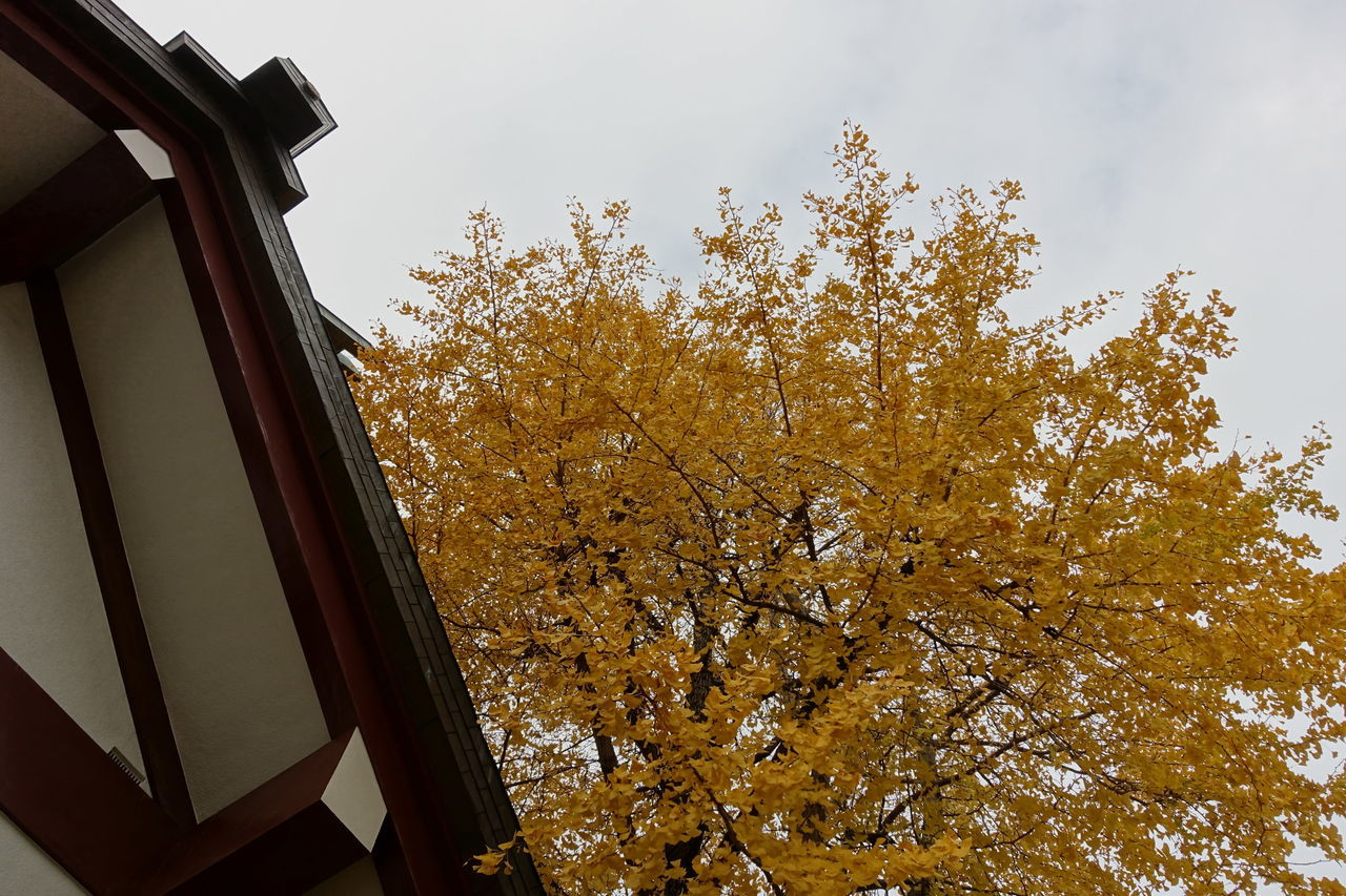 f:id:HIDE_Verdad:20191210223223j:plain