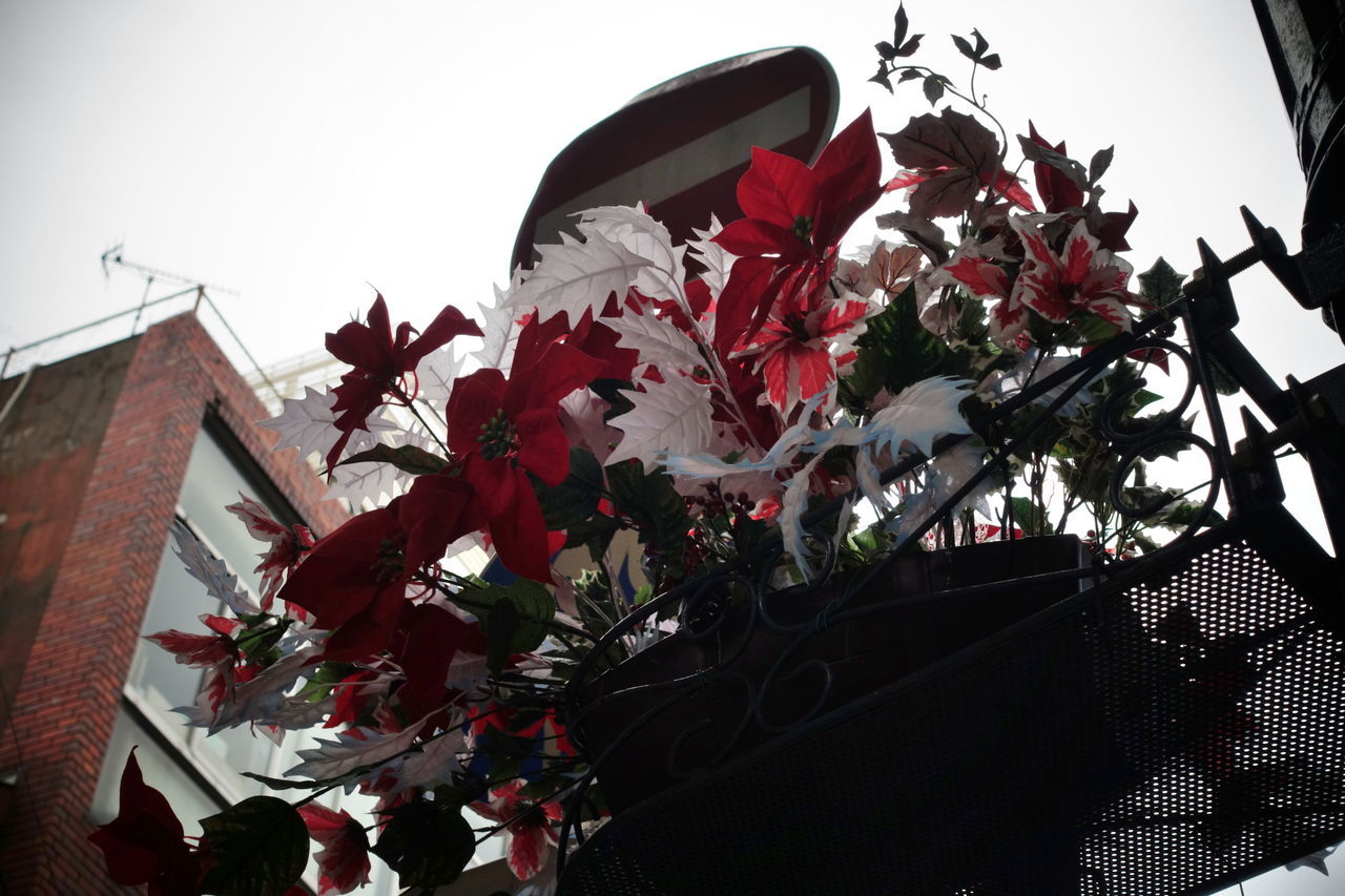 f:id:HIDE_Verdad:20191217225003j:plain