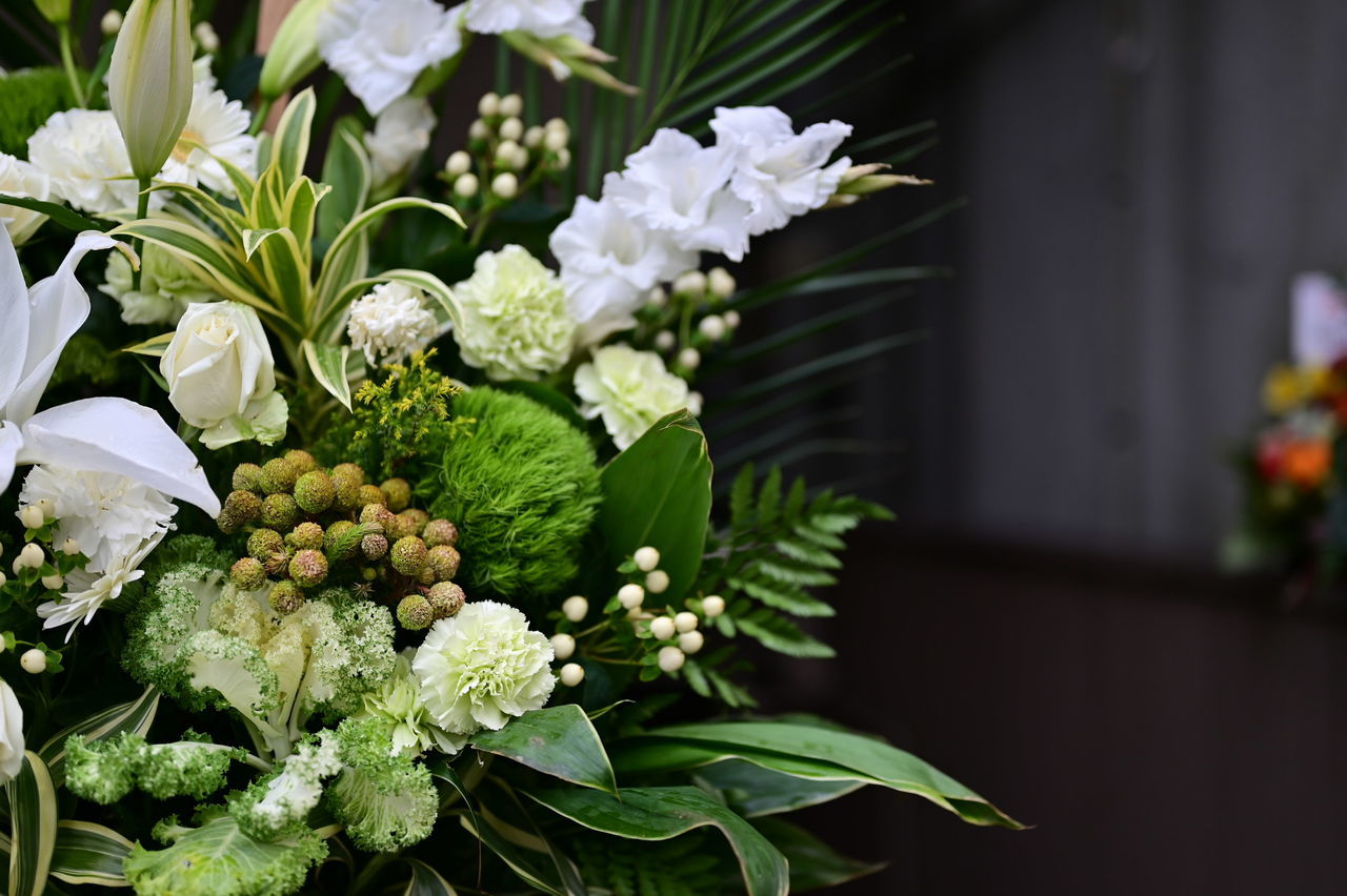 f:id:HIDE_Verdad:20191230232310j:plain
