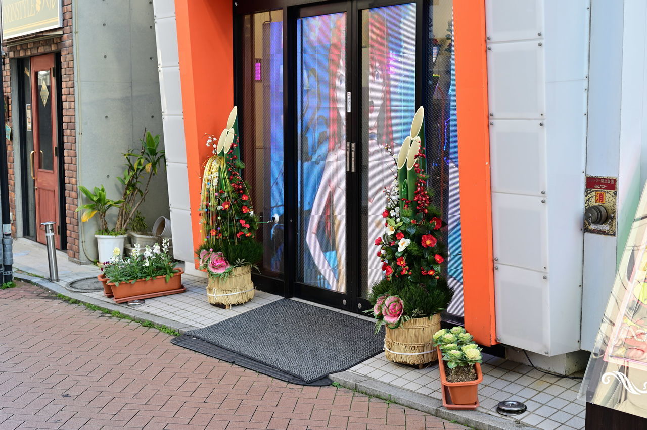 f:id:HIDE_Verdad:20191231191211j:plain