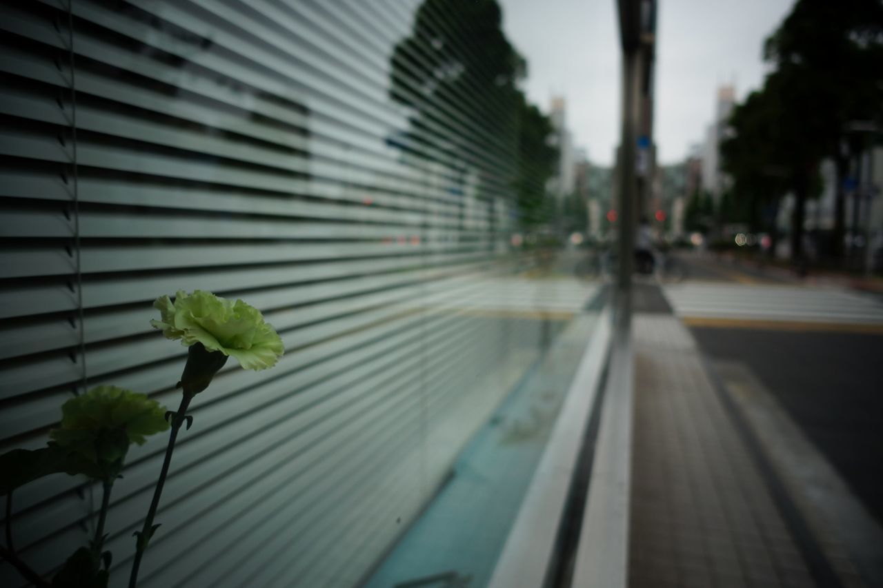 f:id:HIDE_Verdad:20200521232645j:plain