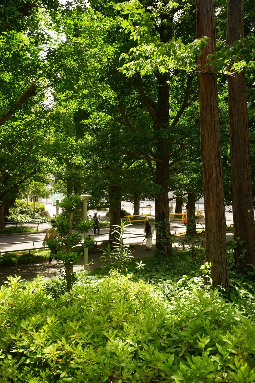 f:id:HIDE_Verdad:20200524225653j:plain