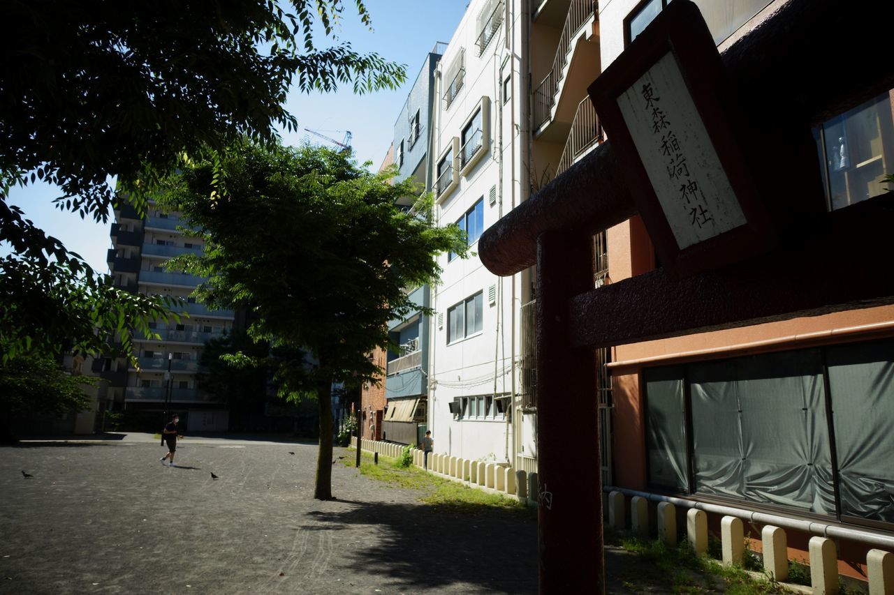 f:id:HIDE_Verdad:20200529230040j:plain