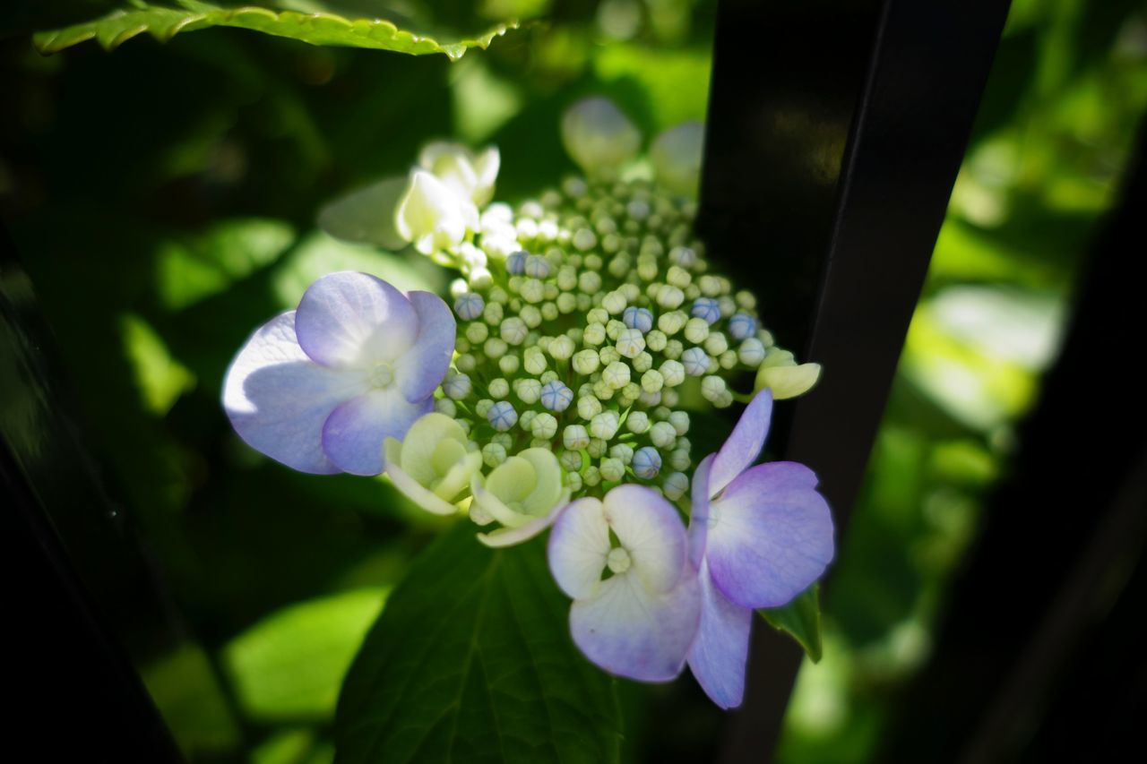 f:id:HIDE_Verdad:20200529230114j:plain