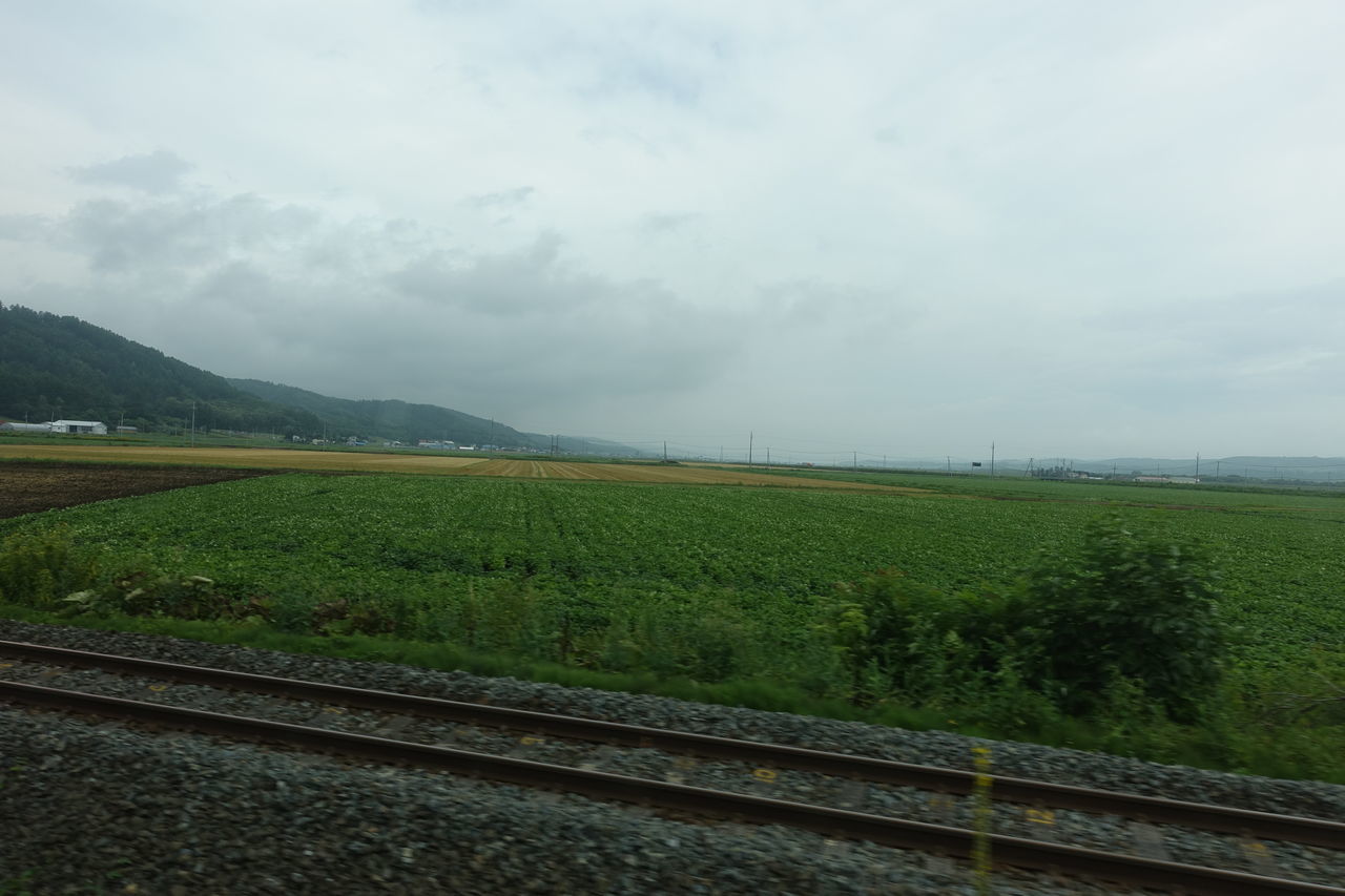 f:id:HIDE_Verdad:20200807234343j:plain