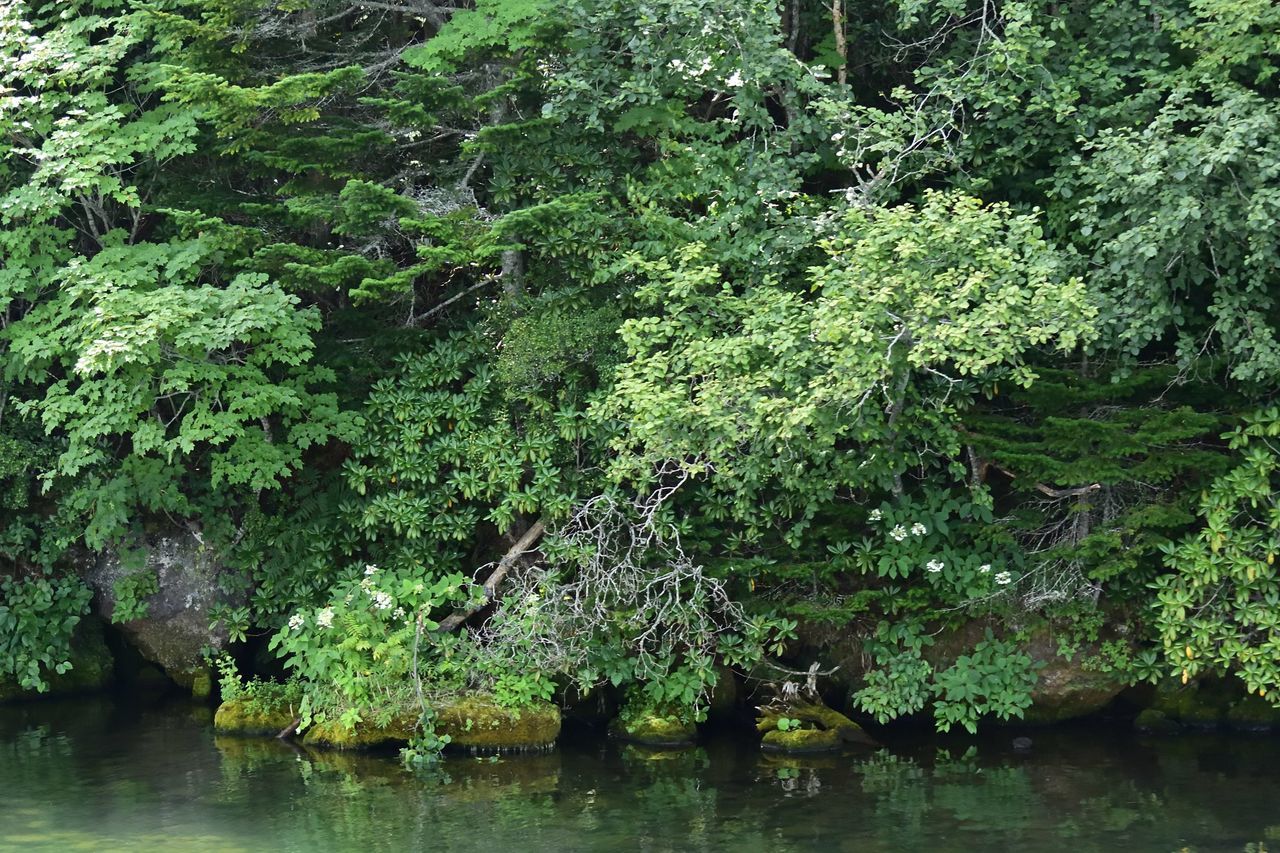 f:id:HIDE_Verdad:20200822233901j:plain