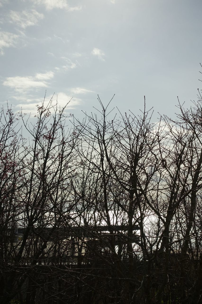 f:id:HIDE_Verdad:20201109224714j:plain