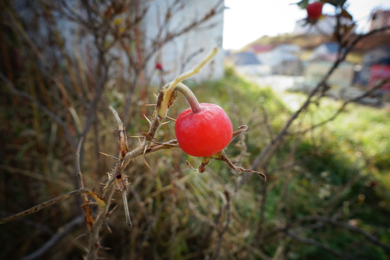 f:id:HIDE_Verdad:20201111225810j:plain