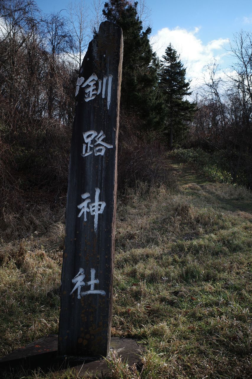 f:id:HIDE_Verdad:20201114231535j:plain