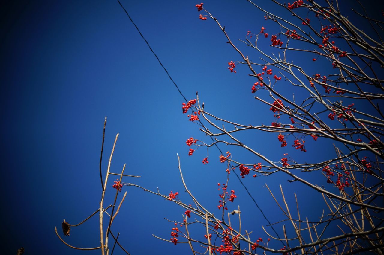 f:id:HIDE_Verdad:20201125224001j:plain