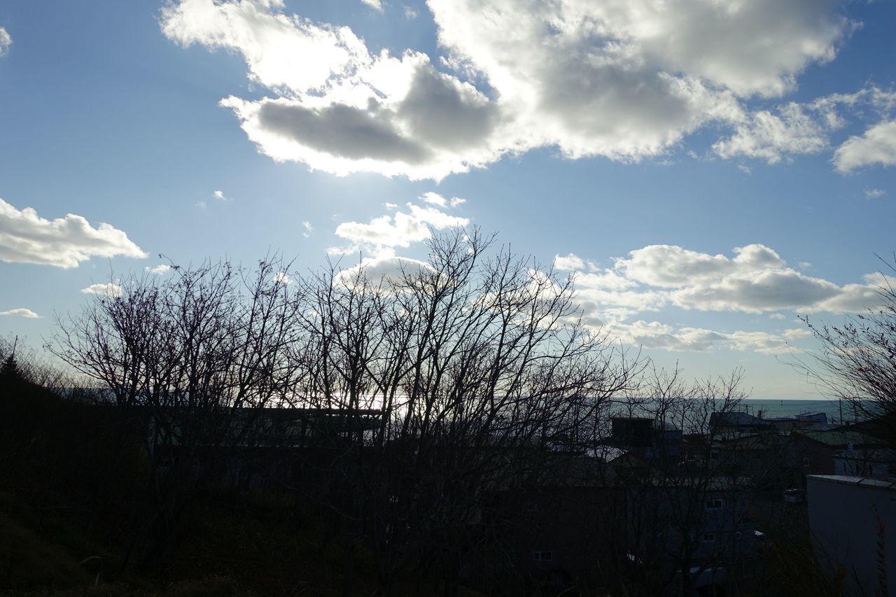 f:id:HIDE_Verdad:20201130222124j:plain
