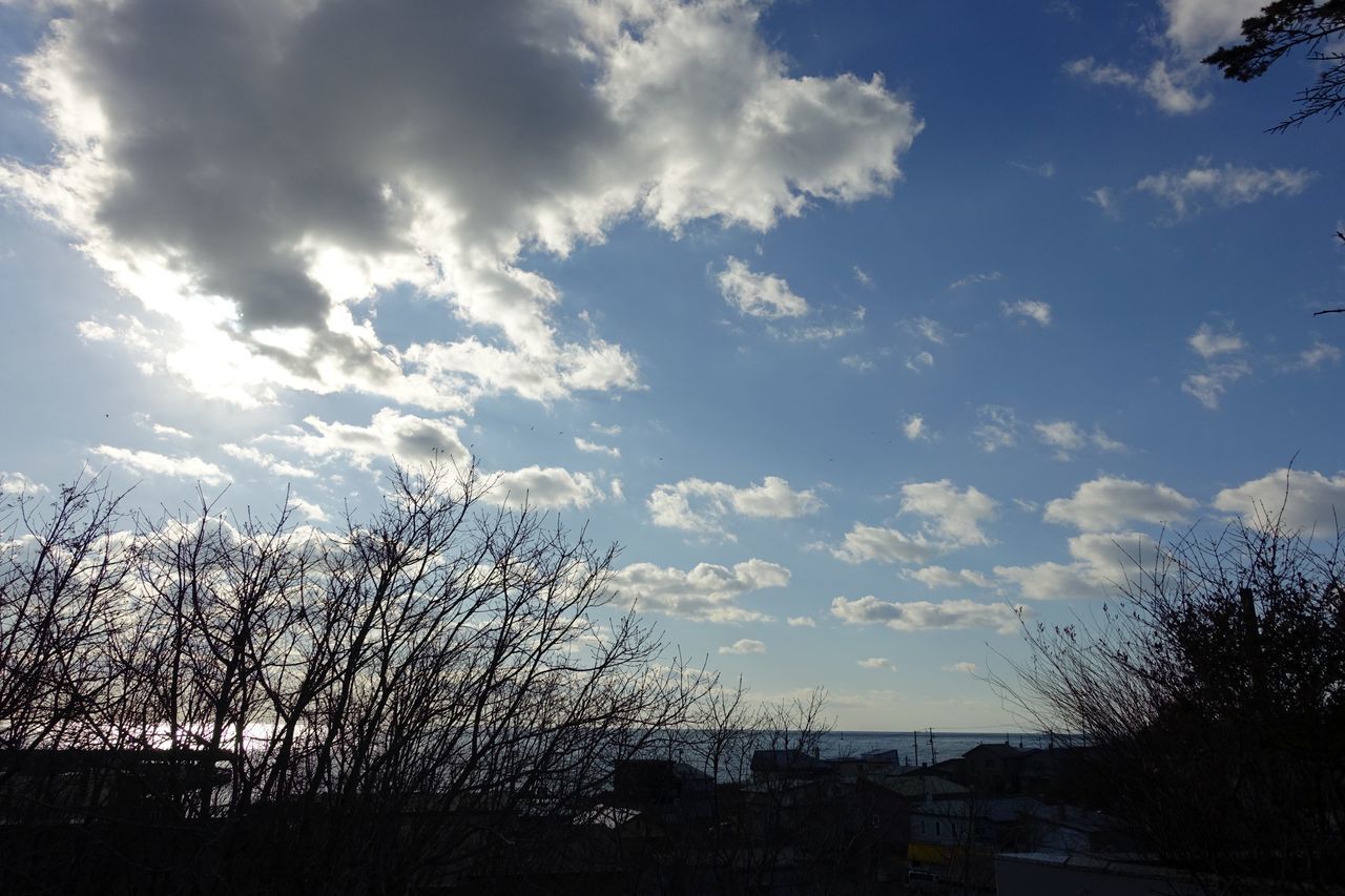 f:id:HIDE_Verdad:20201204224806j:plain