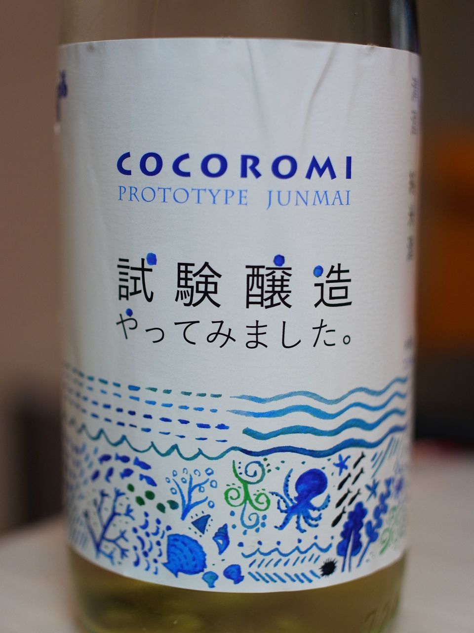 f:id:HIDE_Verdad:20201204224925j:plain