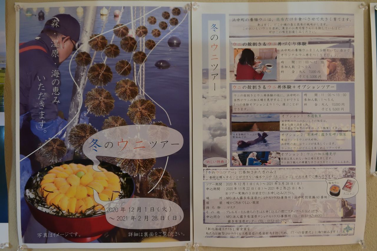 f:id:HIDE_Verdad:20201205231025j:plain
