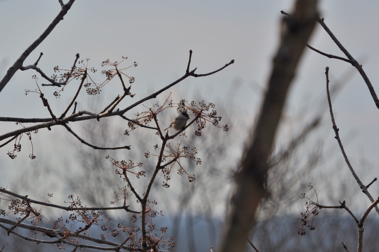 f:id:HIDE_Verdad:20201213190259j:plain
