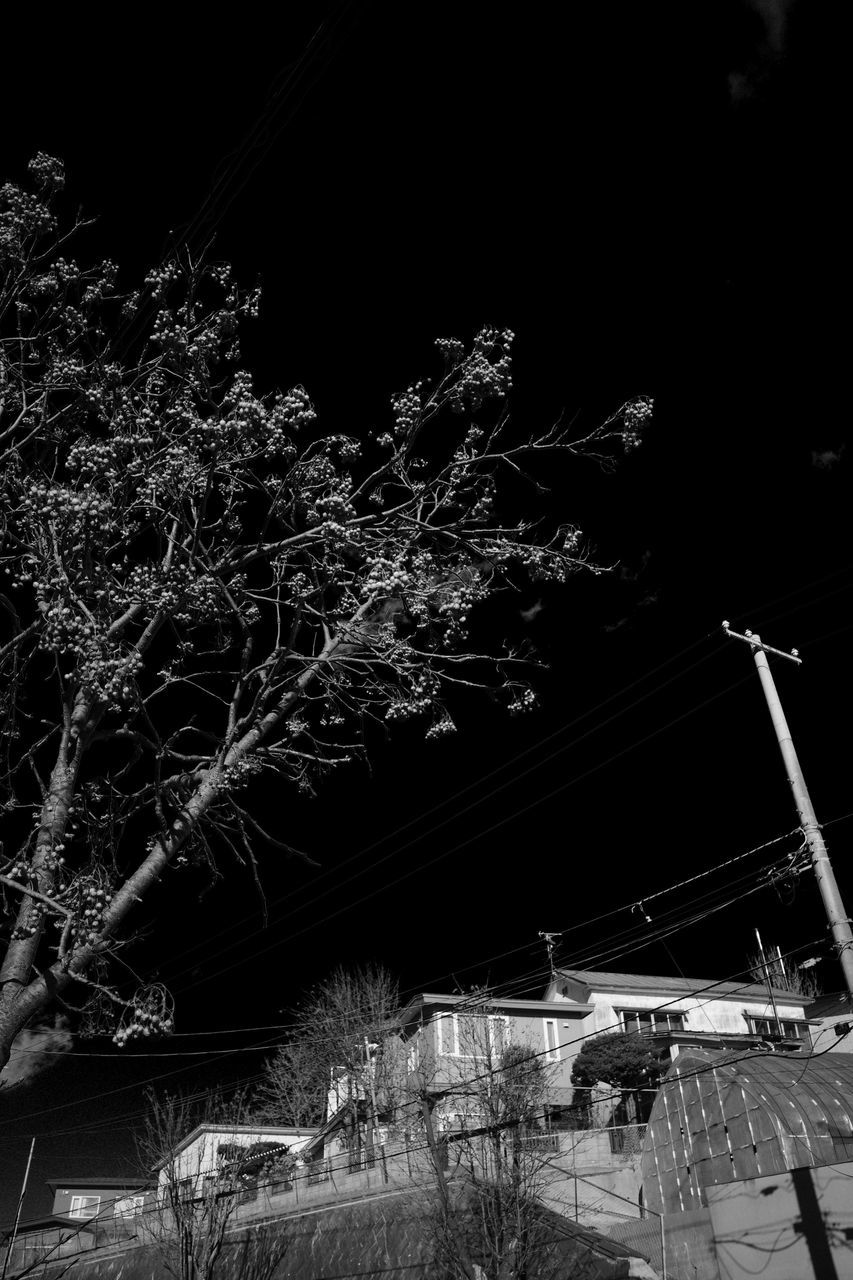 f:id:HIDE_Verdad:20201218223849j:plain