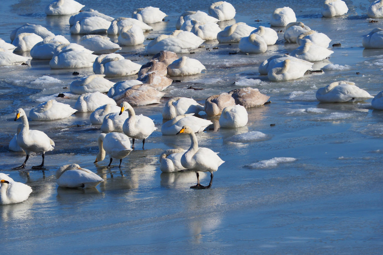 f:id:HIDE_Verdad:20201220190744j:plain