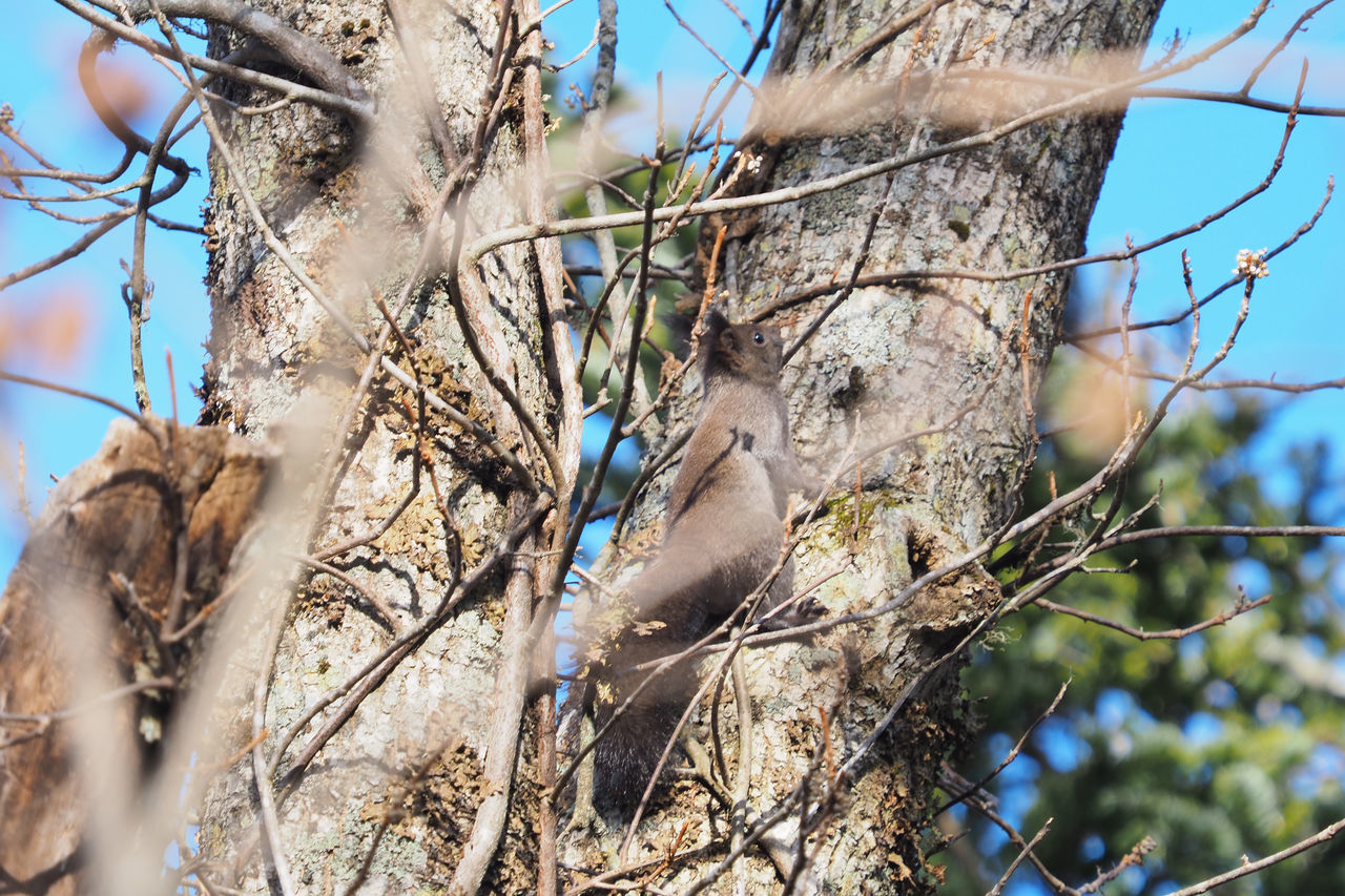 f:id:HIDE_Verdad:20201220230513j:plain
