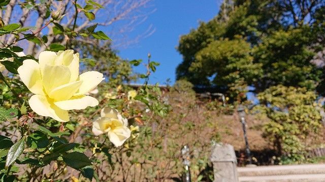 f:id:HIDE_Verdad:20210110181954j:image