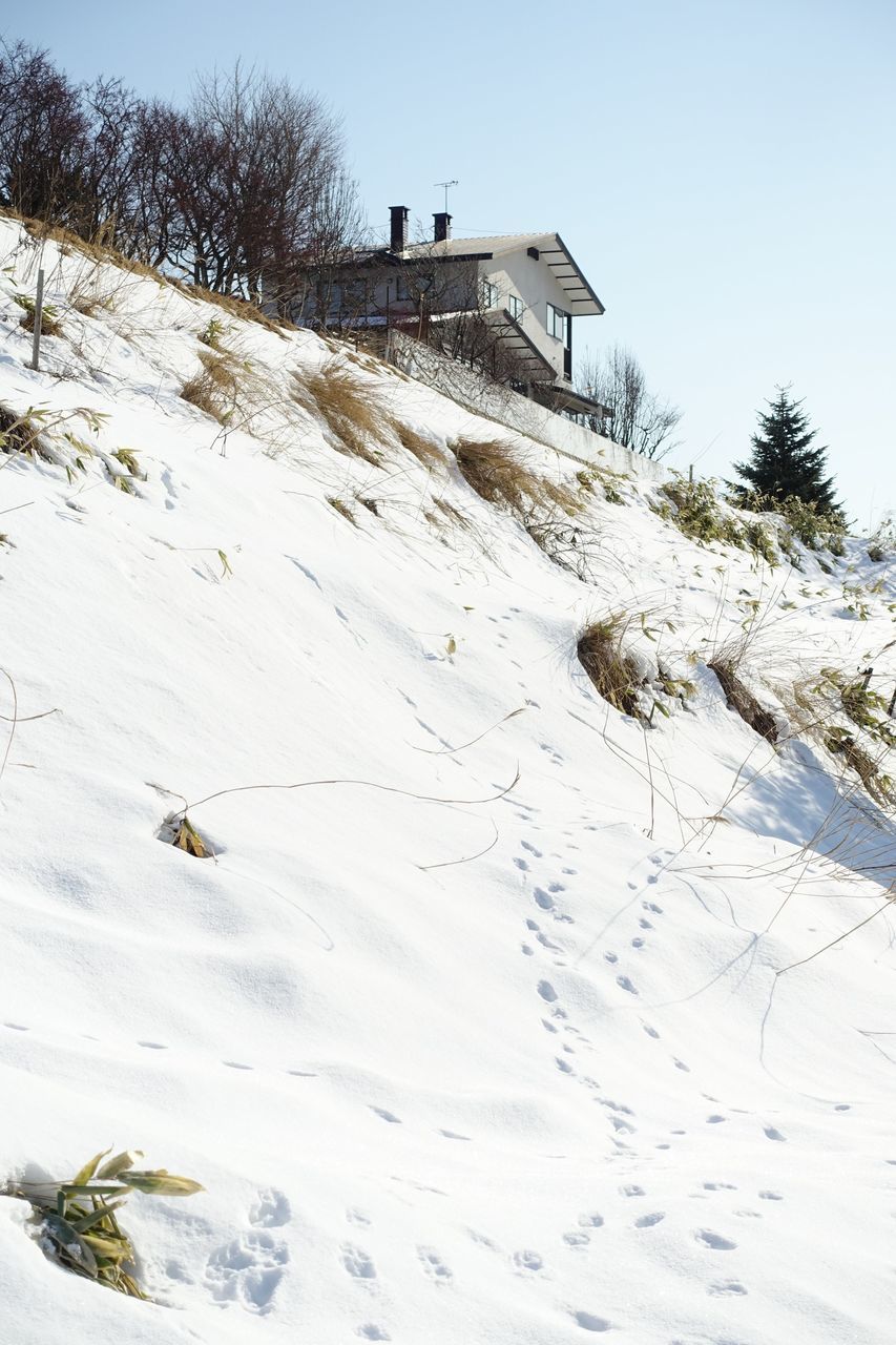 f:id:HIDE_Verdad:20210125224704j:plain