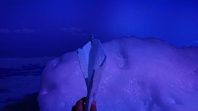 f:id:HIDE_Verdad:20210213184037j:image