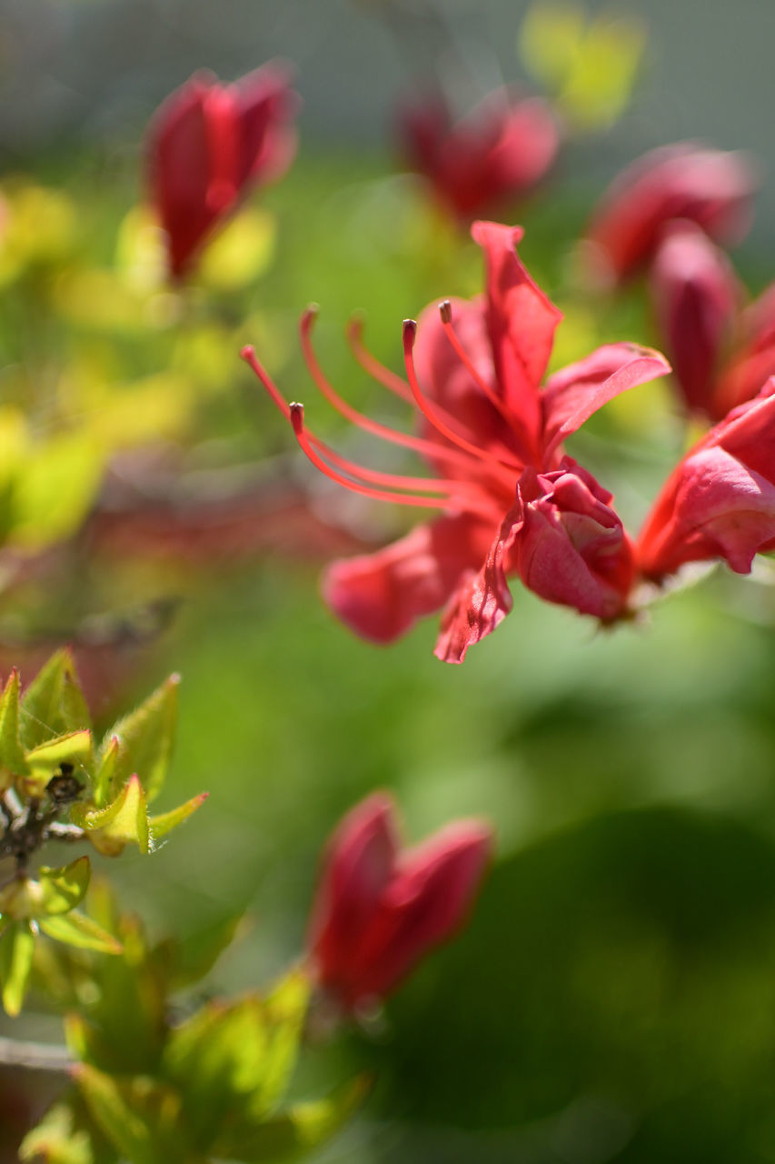 f:id:HIDE_Verdad:20210607223208j:plain