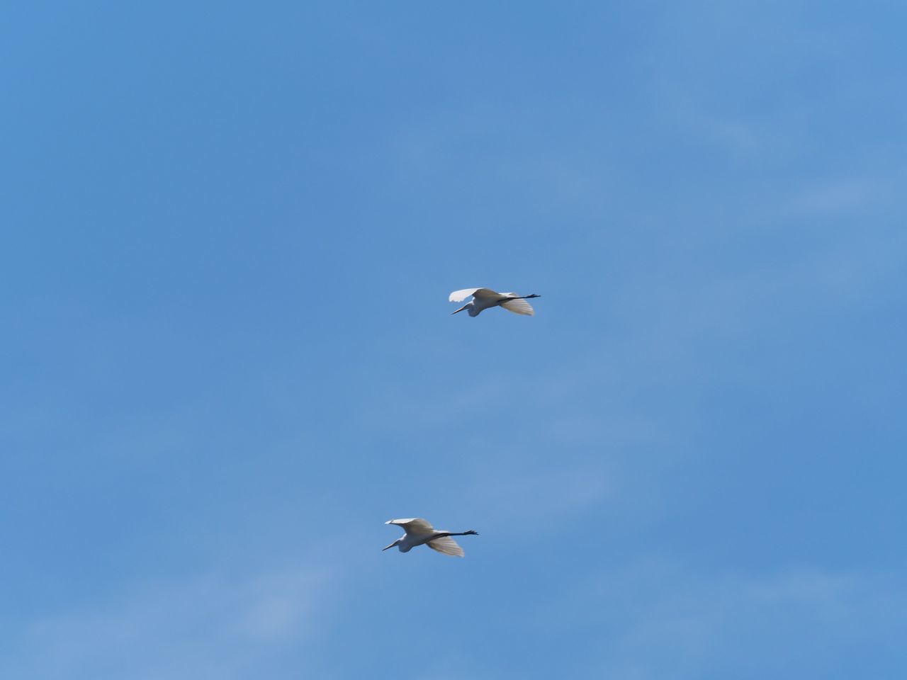 f:id:HIDE_Verdad:20210829223519j:plain